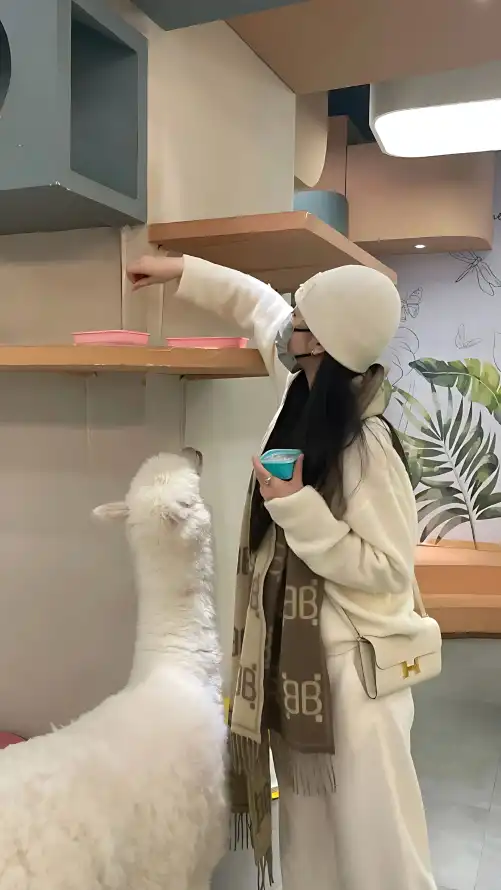 成版人在线观看前别冲动：三个风险让你多长点心